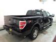 2009 FORD F-150
$29,988
Phone:
Toll-Free Phone:
Year
2009
Interior
Make
FORD
Mileage
37259 
Model
F-150 
Engine
Color
BLACK
VIN
1FTPW14V69FB11767
Stock
M14387A
Warranty
Unspecified
Description
The 2009 Ford F-150 is a smooth and quiet ride,? beefy towing