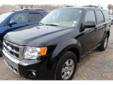 BMW of El Paso
El Paso, TX
915-778-9381
BMW of El Paso
El Paso, TX
915-778-9381
2010 FORD Escape FWD 4dr Limited
Vehicle Information
Year:
2010
VIN:
1FMCU0EGXAKB79351
Make:
FORD
Stock:
AKB79351
Model:
Escape FWD 4DR LIMITED
Title:
Body:
Exterior:
BLACK