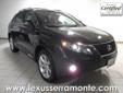 Lexus of Serramonte
Our passion is providing you with a world-class ownership experience.
2010 Lexus RX ( Click here to inquire about this vehicle )
Asking Price $ 36,991.00
If you have any questions about this vehicle, please call
Internet Team