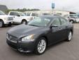 Â .
Â 
2010 Nissan Maxima 3.5 SV w/Premium Pkg
$28333
Call (601) 213-4735 ext. 998
Courtesy Ford
(601) 213-4735 ext. 998
1410 West Pine Street,
Hattiesburg, MS 39401
ONE OWNER LOCAL TRADE-IN, SV, SPORT PKG., SUNROOF, FIRST OIL CHANGE FREE WITH PURCHASE