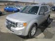 Price: $14999
Make: Ford
Model: Escape
Color: Gray
Year: 2011
Mileage: 41336
Check out this Gray 2011 Ford Escape XLT with 41,336 miles. It is being listed in Ithaca, NY on EasyAutoSales.com.
Source: