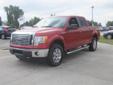 .
2011 Ford F-150 XLT
$27999
Call (863) 852-1655 ext. 274
Jenkins Ford
(863) 852-1655 ext. 274
3200 Us Highway 17 North,
Fort Meade, FL 33841
GENTLY USED AND VERY WELL TAKEN CARE OF 4WD F-150. CALL VINCENT CAPRA TODAY OR COME IN AND SEE US. PLEASE MENTION