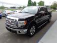 2011 Ford F-150 XLT - $31,991
Fuel Consumption: City: 14 Mpg, Fuel Consumption: Highway: 19 Mpg, Power Windows, 4-Wheel Abs Brakes, Front Ventilated Disc Brakes, 1St And 2Nd Row Curtain Head Airbags, Passenger Airbag, Side Airbag, Abs And Driveline