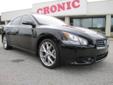 Cronic Buick GMC Chrysler Dodge Jeep Ram
Proudly Serving the Atlanta, GA area for over 34 Years!
2011 Nissan Maxima ( Click here to inquire about this vehicle )
Asking Price $ 32,000.00
If you have any questions about this vehicle, please call
Brandon