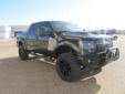 Â .
Â 
2012 Ford F-150 4WD SuperCrew 145 Lariat
$50030
Call (877) 318-0503 ext. 254
Stanley Ford Brownfield
(877) 318-0503 ext. 254
1708 Lubbock Highway,
Brownfield, TX 79316
Heated Leather Seats, CD Player, Onboard Communications System, iPod/MP3 Input,