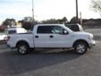 Â .
Â 
2012 Ford F-150 Crew Cab XLT
$26000
Call (912) 228-3108 ext. 20
Kings Colonial Ford
(912) 228-3108 ext. 20
3265 Community Rd.,
Brunswick, GA 31523
Vehicle Price: 26000
Mileage: 26237
Engine: Gas/Ethanol V8 5.0L/302
Body Style: Crew Cab Pickup