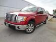 .
2012 Ford F-150 XLT
$25988
Call (931) 538-4808 ext. 145
Victory Nissan South
(931) 538-4808 ext. 145
2801 Highway 231 North,
Shelbyville, TN 37160
SUPER CREW CAB! CLEAN CARFAX! ONE OWNER!__ LOTS OF FACTORY WARRANTY LEFT!!!__ FULLY SERVICED!__ IMMACULATE