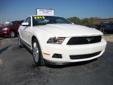 Â .
Â 
2012 Ford Mustang Premium
$23995
Call (863) 588-3724 ext. 17
Hillman Motors
(863) 588-3724 ext. 17
2701 Havendale Blvd.,
Winter Haven, FL 33881
This 1 owner low mileage Mustang is bad to the bone!!! Shaker package stereo system will wake up your