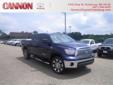 2012 Toyota Tundra Grade 5.7L V8 - $34,603
This is the perfect do-it-all car that is guaranteed to amaze you with its versatility.. Fun and sporty!!! This Vehicle has less than 25k miles!! Safety Features Include: ABS Traction control Curtain airbags