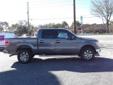 Â .
Â 
2013 Ford F-150 XLT
$42060
Call (912) 228-3108 ext. 131
Kings Colonial Ford
(912) 228-3108 ext. 131
3265 Community Rd.,
Brunswick, GA 31523
Vehicle Price: 42060
Mileage: 9
Engine: Gas/Ethanol V8 5.0L/302
Body Style: Crew Cab Pickup
Transmission: