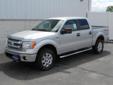 Price: $42365
Make: Ford
Model: F150
Color: Ingot Silver Metallic
Year: 2013
Mileage: 8
Anderson of Lincoln North presents this 2013 FORD F-150 4WD SUPERCREW 145 XLT. Represented in INGOT SILVER METALLIC and complimented nicely by its MS interior. Fuel