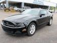 .
2013 Ford Mustang
$23407
Call
Bob Palmer Chancellor Motor Group
2820 Highway 15 N,
Laurel, MS 39440
Contact Ann Edwards @601-580-4800 for Internet Special Quote and more information.
Vehicle Price: 23407
Mileage: 15430
Engine: V6 3.7l
Body Style: Coupe