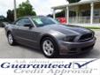 .
2013 FORD MUSTANG 2dr Conv V6
$24999
Call (877) 394-1825 ext. 42
Vehicle Price: 24999
Odometer: 41148
Engine:
Body Style: 2 Door
Transmission: Automatic
Exterior Color: Gray
Drivetrain:
Interior Color: Black
Doors:
Stock #: 237438
Cylinders: 6
VIN: