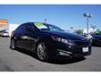 2013 Kia Optima SX - $21,373
Real Time Traffic, Navigation System With Voice Recognition, Phone Wireless Data Link Bluetooth, Security Remote Anti-Theft Alarm System, Memorized Settings Number Of Drivers: 2, Memorized Settings Includes Driver Seat,