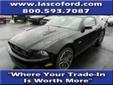 Price: $33353
Make: Ford
Color: Black
Year: 2014
Mileage: 0
Check out this Black 2014 Ford with 0 miles. It is being listed in Fenton, MI on EasyAutoSales.com.
Source: http://www.easyautosales.com/new-cars/2014-Ford-84019687.html