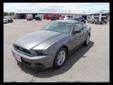 Price: $24290
Make: Ford
Model: Mustang
Color: Gray
Year: 2014
Mileage: 3
Check out this Gray 2014 Ford Mustang with 3 miles. It is being listed in Scottsbluff, NE on EasyAutoSales.com.
Source:
