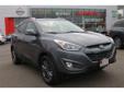 2014 Hyundai Tucson SE - $18,441
Front Bumper Color (Body-Color), Front Wipers (Variable Intermittent), Mirror Color (Body-Color), Rear Door Type (Liftgate), Rear Privacy Glass, Rear Spoiler (Roofline), Solar-Tinted Glass (Front), Tinted Glass, Tire