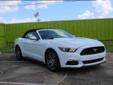 Strong Automotive Group Inc
8903 Bellflower Ste D Houston, TX 77063
(713) 497-5444
2015 Ford Mustang 2dr Conv EcoBoost Premium Black / Tan
20,925 Miles / VIN: 1FATP8UH2F5393024
Contact Omar Alyafi
8903 Bellflower Ste D Houston, TX 77063
Phone: (713)