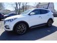 2017 Hyundai Santa Fe Sport 2.0T Ultimate - $39,258
2017 Hyundai Santa Fe Sport 2.0L Turbo in Frost White Pearl and *BACK UP CAMERA*. Ultimate Tech Package (Auto-Leveling Headlights, Automatic Emergency Braking, Dynamic Bending Light, Electronic Parking