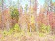 City: Macon
State: Ga
Price: $10500
Property Type: Land
Size: 2.04 Acres
Agent: Julie Spence
Contact: 478-256-2564
GREAT BUILDING LOT W/ NO RESTRICTIONS. ACCESSABLE THRU EASEMENT.
Source: