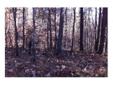 City: Ellijay
State: Ga
Price: $19000
Property Type: Land
Size: 2.06 Acres
Agent: David Moody
Contact: 678-493-3208
2 residenial lots located just off Whitepath Road in Gilmer County. Just across from Riverbend Rd is Briar Creek which has great waterfront