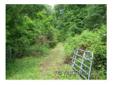 City: Waynesville
State: Nc
Price: $338000
Property Type: Land
Size: 33.8 Acres
Agent: Sammie Powell
Contact: 828-452-9506
-End of road privacy, Merchantable hardwood saw timber, Old road in place that can be upgraded, Several springs originate on the