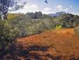 3.4 Acres in Peaceful Area; Paraiso
Location:
Cartago, Costa Rica
Land Area:
3.40 acres / 1.40 hects.
Broker Ref: 2317
Between ParaÃ­so and Orosi (near Orosi Valley, Cartago) -- Build your own little estate on this 3.4-acre (1.39-hectare) property within