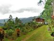 A 37-Acre Farm with Unbelievable Views
Location:
Orosi Valley, Costa Rica
Bedrooms: 3Â Â Â Bathrooms: 2
Structure Area:
1292 sqft. / 120.0 sqmtrs.
Land Area:
37.30 acres / 15.10 hects.
Broker Ref: 3828
Paraiso (Orosi Valley area; Cartago) -- This is one of
