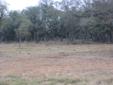 City: San Marcos
State: TX
Zip: 78666
Price: $1200000
Property Type: lot/land
Agent: John Stevenson
Contact: 512-845-4820
Email: jpsstevenson@yahoo.com
THIS is THE LAND on THE WEST SIDE of MAJESTIC ESTATES, Developer has already dug the $500,000 one acre