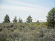 5.45 Acres
Land Area:
5.45 acres / 2.20 hects.
Broker Ref: 698251
Beautiful lot with several level spots, great for building sites. The views are amazing. You can see Mount Rainier on a clear day. Evergreen trees cover much of the front of this lot. The