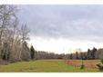 Keith Cook | RE/MAX Whatcom County, Inc. | (360) 739-5600
40XX Brown Road, Ferndale, WA
5 Affordable Ferndale Acres
217,800 sqft Vacant Land
offered at $69,900
Lot Size
217,800 sqft
DESCRIPTION
5 Acres. Partial woods partial pasture. Located in the North
