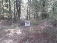 Click HERE to See
More Information and Photos
David Engels9033361648
FIZBER-For Sale by Owner
9033361648
30 Acres of timber. Good hunting land. Timber preserve - taxes under $40. Excellent home site. Located 2 miles off Interstate 30.
eWebID: 817810-2