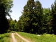 60 +/- Acres, Waitsfield, Vermont
Location: North Waitsfield
Large wooded Mad River Valley parcel. Build your home with an easy commute south to Waitsfield, Sugarbush, Mount Ellen & Mad River Glen as well as north to Montpelier, Waterbury, Stowe &
