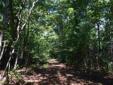 6 acres Views of "Bald Face Mountain" and Big Run
Location: Elkton, VA
Canopy of trees in the summer providing you that secluded location, filled with deer & bear, abundant wildlife! Elevated for views, easy access and convenient location to all you need!