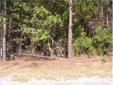 City: Winnsboro
State: SC
Zip: 29180
Price: $429895
Property Type: lot/land
Agent: Bob Brown
Contact: 803-420-1572
Email: bob@PalmettoEliteRealty.com
This wooded lot is located towards the end of Big Wateree Creek! Beautiful and private with 1900 foot of