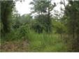 City: Bonifay
State: FL
Zip: 32425
Price: $20000.00
Property Type: Lot/Land
Bed: Studio
Bath: 0.00
Agent: Paula Stone
Email: rowlettrealestateschool@yahoo.com
If its Country living your looking for, you will love this property and its location. Nice Shade