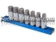 "
Titan 16131 TIT16131 7 Piece 1/2"" Drive Metric Large Hex Bit Socket Set
Features and Benefits:
S2 alloy steel bits for strength and durabiliity
Handy magnetic rack sticks to ferrous metal surfaces
Anodized blue rail
Exceeds ANSI standard
Lifetime