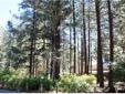 City: South Lake Tahoe
State: CA
Zip: 96150
Price: $175000
Property Type: lot/land
Agent: RE/MAX Realty Today - Don and Janice Bosson, 530-545-0090/530-545-3052, thebossons@aol.com
Contact: 530-541-0200
Email: brokers@tahoeremax.com
Prime location, one