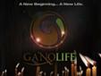 http://ganoonline.com/nocoffeefilter to find out more or call 888-828-5322 x 2 to speak with someone >