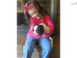 Price: $800
We 4 have female Cavalier's. Three Tri Color and one Blenheim. Have had 1st shots been dewormed and very friendly with adults and children. Also pet friendly.
Source: http://www.nextdaypets.com/directory/dogs/7d399b4b-9691.aspx