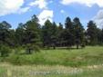 ONE FABULOUS LOT!!! FRONT MEADOW WITH EXCEPTIONAL FRONT RANGE AND PIKES PEAK VIEWS!! BACK TREE LINE OF TALL PINES FOR PRIVACY!! QUIET LOCATION, CORNER LOT TO CUL DE SAC STREET IN ESTATE SUBDIVISION!! IT DOESN'T GET BETTER THAN THIS!!! WELL AND SEPTIC