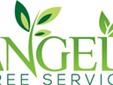 ANGEL'S TREE SERVICE
Tree Trimming
Tree Removal
Topping
Prunning
Power Stump Grinding
Palms Skinned & Trim
Hillside Cleanup
Gardening and Grass Cutting
******FREE ESTIMATES************
310-753-8199
Â 
The emphasis at this stage is on obtaining a complete