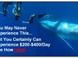 Mabye You Can't Do Things Like Swim With Whales in The Ocean, But...
When You Generate $200-$400/Day Part Time, Your Options Increase Fast...
Build Your Online Business into a Moster With Our 202,000 Monthly Leads...