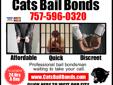 Has your loved one been arrested?
Visit: http://www.catsbailbonds.com/Newport_News_bail_bonds.html
Cats Bail Bonds is available 24 hours a day, 7 days a week to get you out of jail.
Licensed Newport News bail bondsmen are available to take your call and
