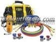 "
CPS Products KTBLM7 CPSKTBLM7 Bag Kit with Leak Detector
Features and Benefits:
Comes with an LS780C Leak detector
Comes with a brass manifold with blue rubber boot, 6 foot hoses and manual couplers
Bag is a heavy duty canvas bag with a rubber bottom