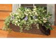 Basket Planter: DMC Products Brown Wall Basket Resin Wicker : 48" Best Deals !
Basket Planter: DMC Products Brown Wall Basket Resin Wicker : 48"
Â Best Deals !
Product Details :
Find planters ? Add natural vibrancy to your home's exterior with this