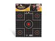 Birchwood Casey Dirty Bird Target 12" Sight-In 12-Pack. The name comes from the splatter of white that appears upon bullet impact, which allows you to immediately spot each shot. These targets are a great value and simple to use both indoors and outdoors.