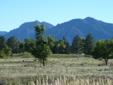 Boulder county 9.4 acres next to City of Boulder
Location: Boulder, CO
Very rare 9.4 acres right next to City of Boulder... This is Boulder county land that has Rural residential zoning, with many possibilities... nice trees, great views....
Features
