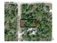 Click HERE to See
More Information and Photos
Real Estate Florida Group, Inc.
352-600-8985
WOODED LOT in quiet and peaceful area. Build your dream home far from the crowd! lot on west side also available.
eWebID: 828344-1