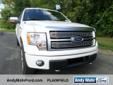 2011 Ford F-150 Platinum
$37209
Additional Photos
Vehicle Description
5.0L V8 FFV and 4WD. Built to get down to business. With such a quiet cabin, it's like a protected habitat. Who could say no to a truly wonderful truck like this stout 2011 Ford F-150?